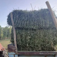 فروش ۴۰تا پرس یونجه چن ۴