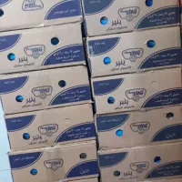 پنیر|حراج|مرند, |دیوار