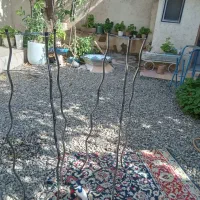 جا قابلمه ای
