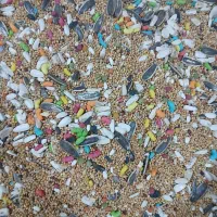 دانه فروشی روبروی آب وفاضلاب