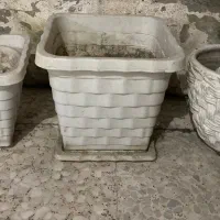 گل شفلرا و گلدان