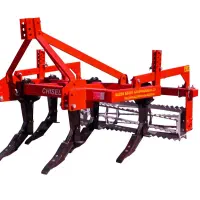 چیزی ۵ شاخ بوکان