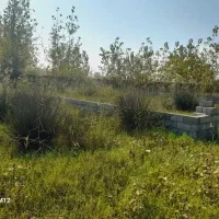 زمین-ساحلی-300متر