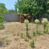 فروش زمین مسکونی