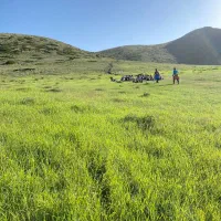 کمپینگ ارفع کوه  آخر هفته