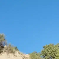 اجاره-زمین-کشاورزی-کوهمره-سرخی