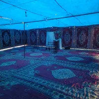 داربست مجالس عروسی