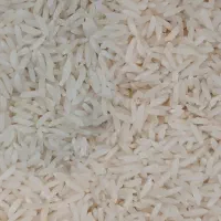 سورت شده فجر سوزنی ۱۷۱و هاشمی ۲۵۳ و لاشه ۱۷۲ت|خوردنی و آشامیدنی|بابکان, |دیوار