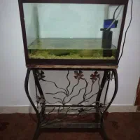 فروش آکواریوم