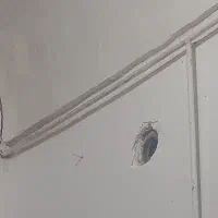 کارگر