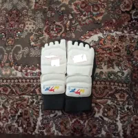 روپا تکواندو اصل اصل