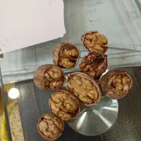 تخمه کدو،تخمه آفتاب و...|خوردنی و آشامیدنی|ری, علایین|دیوار