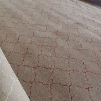 موکت نو