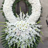 کد 55 تاج گل اعلمی برای افتتاحیه