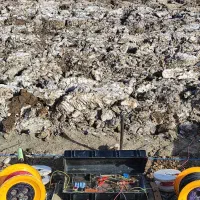 کارشناس آب چاه