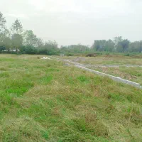 260متر-مسکونی-شهرکی-ارزنده-و-آماده-ساخت-گلرودبار