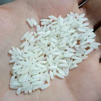 برنج ایرانی فجر خوشپخت ۱۰ کیلویی|خوردنی و آشامیدنی|میاندوآب, |دیوار