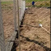 فنس زنی|خدمات باغبانی و درختکاری|رشت, جانبازان|دیوار