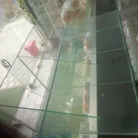 استند شکلات شیشه ای چهار طبقه|فروشگاه و مغازه|خرمدره, |دیوار