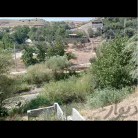 زمین-تجاری-مرتضی-گرد