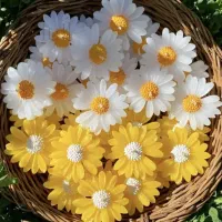 گیفت ویادگاری|زیورآلات و اکسسوری|مشهد, ایثارگران|دیوار