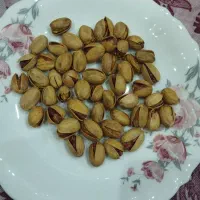 پسته|خوردنی و آشامیدنی|کرج, برغان|دیوار