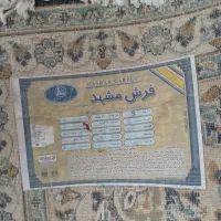 فرش مشهد درحدنو|فرش|الشتر, |دیوار