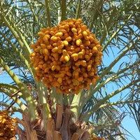 گردشگری کویر مرنجاب|تور و چارتر|آران و بیدگل, |دیوار