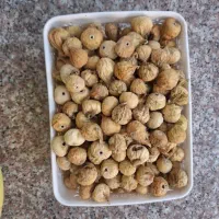 فروش انجیر وکشمش وشیره انگور بش|خوردنی و آشامیدنی|شیراز, شاهجیان|دیوار