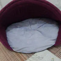 جای خواب سگ و گربه