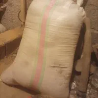 سوب(یا همون کپک)دانه دار درجه یک.