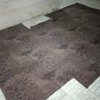 موکت سالم فقط 250 تومان