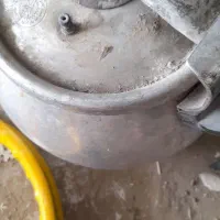 لوازم منزل|فرش|شاندیز, |دیوار