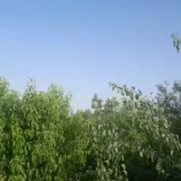 باغچه-در-شهریار