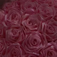 گل و گیاه