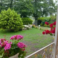 ویلا دردل جنگل|اجارهٔ کوتاه‌مدت ویلا و باغ|ماسال, |دیوار