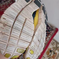 کتونی|کیف، کفش، کمربند|قیدار, |دیوار