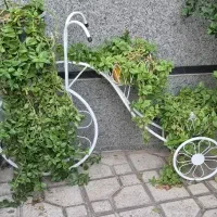 استندگل (دوچرخه)