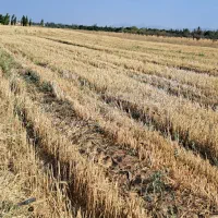 1.4 هکتار زمین زراعی- ارزان و فوری