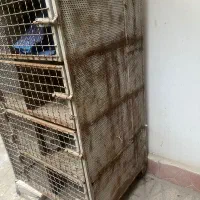 جفت کن آهنی درجه یک|لوازم جانبی حیوانات|تهران, فلسطین (میدان انقلاب)|دیوار