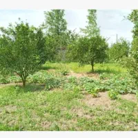 فروش باغ جومیان