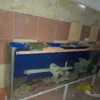 فروش آکواریوم