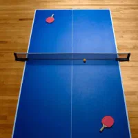 پینگ پنگ