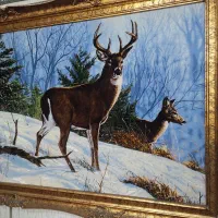 نمایشگاه(فروش‌انواع‌فرش‌ابریشم‌کاشان،خریدار‌تهران)