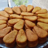 پخش کتلت و شامی  کیان