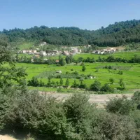 زمین ۲۰۰ متر با مستثنیات|فروش زمین و ملک کلنگی|تالش, جوکندان|دیوار