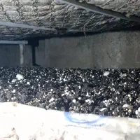 کمپوست مصرف شده قارچ