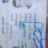 مدارک پیدا شده