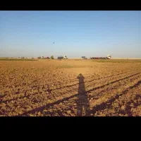 زمین گلخانه ای سند تک برگ|فروش دفتر صنعتی، کشاورزی، تجاری|تهران, چیتگر جنوبی|دیوار