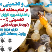 سمپاشی موریانه تخصصی و تضمینی با مجوز وزارت بهداشت